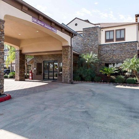 Comfort Suites Lake Jackson Clute Ngoại thất bức ảnh
