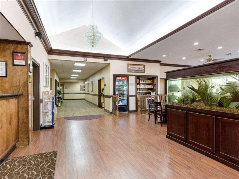 Comfort Suites Lake Jackson Clute Ngoại thất bức ảnh